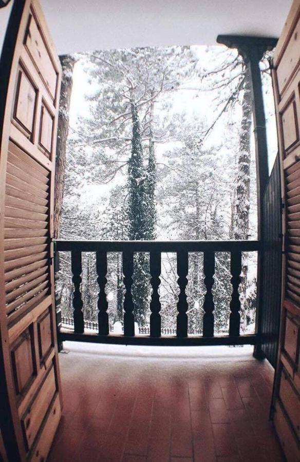 Milionis Forest Hotel Grevena Buitenkant foto