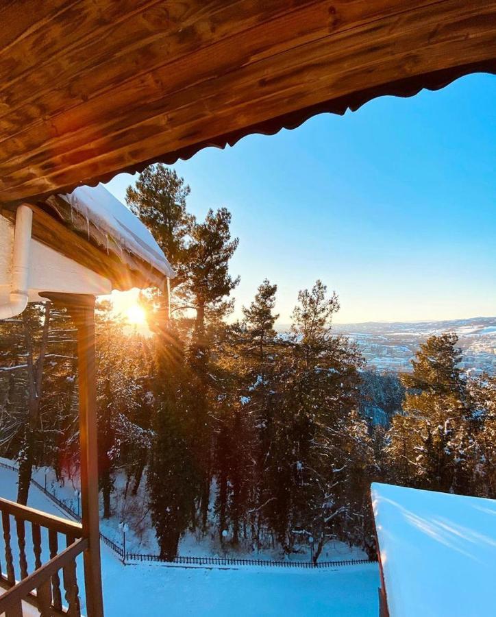 Milionis Forest Hotel Grevena Buitenkant foto
