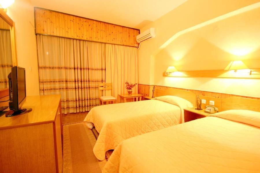 Milionis Forest Hotel Grevena Buitenkant foto