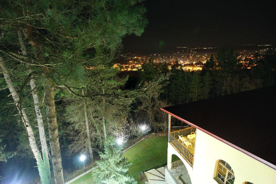 Milionis Forest Hotel Grevena Kamer foto