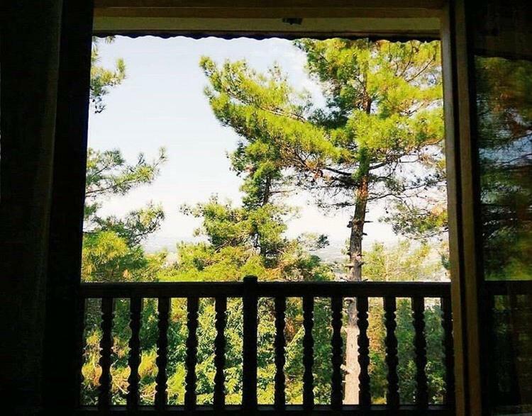 Milionis Forest Hotel Grevena Buitenkant foto
